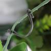 100Pcs Grape Grafting Clips Garden Plant Vegetable Vine Fixing Clamp Black