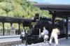 KATO N gauge series set Railway model passenger car 58654+50 "SL Hitoyoshi" 4-car 10-1727