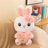 Heart Bunny Plush Doll Bedtime Stuffed Animal Birthday Gift Comfort Pillow Toy