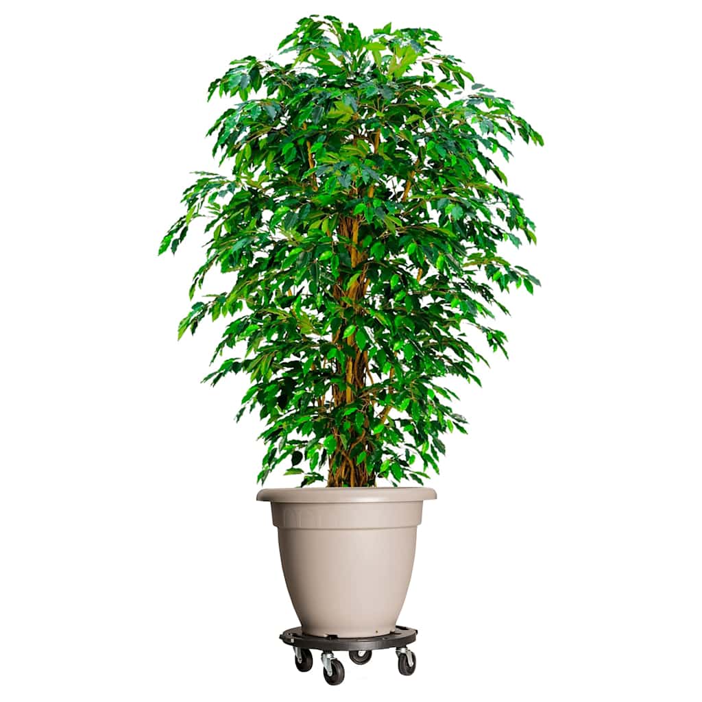 Plant Rollers 3 pcs 40 cm Diameter Black 275 kg