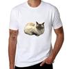 Primcess Pamcake  Concerned Tshirt Minimalist Casual Short Sleeve Top Tshirt