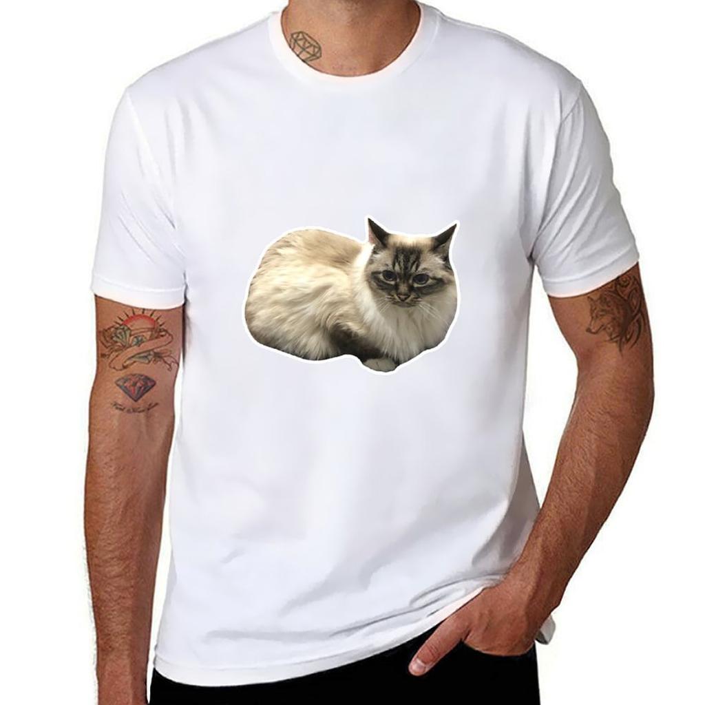 Primcess Pamcake Concerned Tshirt Minimalist Casual Short Sleeve Top Tshirt