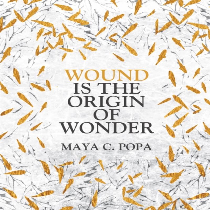 Wound Is the Origin of Wonder by Maya C. Popa Paperback Book 9781035017386