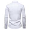 Autumn Fashion Men's Embroidered Design Long Sleeve Shirt High Quality Vintage Luxury Male Casual Social Wedding Party Business