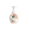Dettol Antiseptic Hand Wash Collection