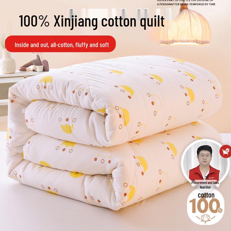 

Yun Jin 100% Xinjiang Cotton All-Season Comforter 150x200cm