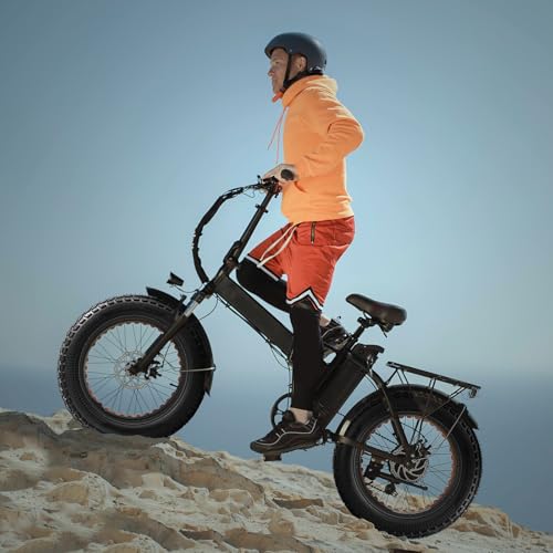 FengCan 20x4.0 Tire, 20x4.0 102-406, Electric Bicycle Tire, Compatible with 20-inch Mountain Bikes and Fat Bikes, 4.0-inch Section Width (BQ027)