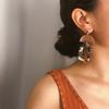 Retro Simple Acetic Acid Leopard Print Earrings Women, Temperament Versatile Geometric Oval Splicing Earrings Stud Earrings