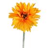 Gerbera Flower Single Color Light Orange