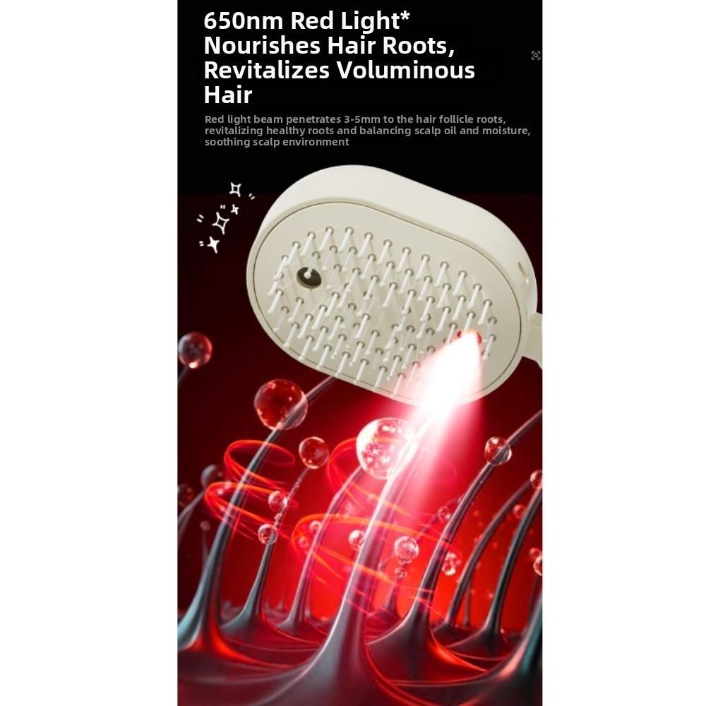 Multi-Function Electric Spray Hair Brush Anti-Frizz Large Tank 2-In-1 Misting Hair Brush  Women