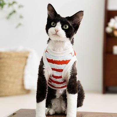 Frühling und Sommer Dünne Gestreifte Kätzchen Kapuzenweste Kleiner Hund Teddy Bigbear Welpe Hund Haustier Katze Kleidung