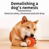 Smart Dog Toy Ball Automatic Rolling Ball Electronic Interactive Pet Toy Cat Balls Training USB for Puppy Birthday Gift Kitten Product