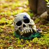 1pc Fish Tank Aquarium Skull Cave Breeding House Simulation Resin Cranium Statue Spider Scorpion Lizard Hiding Shelter Ornament