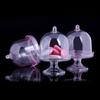 Clear Plastic Dessert Cup Cake Tray Candy Box Cake Plate with Lid Set of 12pcs