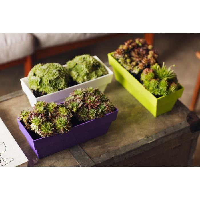 Jardinière 12x30 Cm Collection LIMITED - Blanc