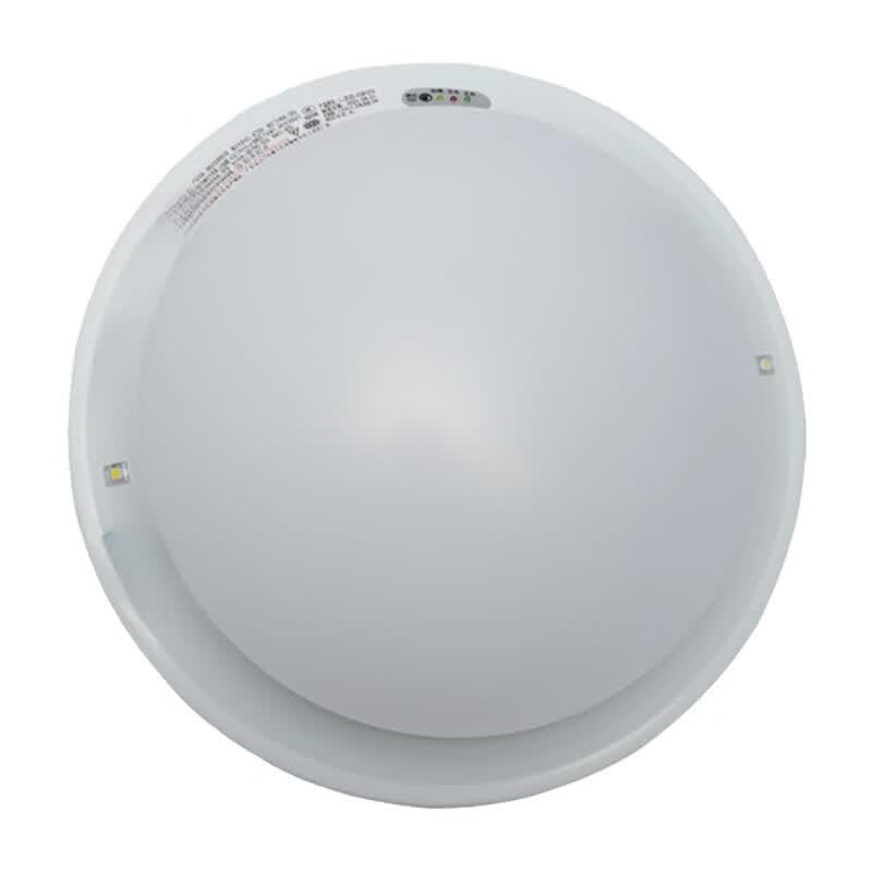 Zhuoma Voice & Motion Sensor Emergency Ceiling Light