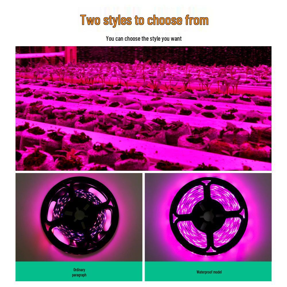 USB LED Grow Light Strip: Full Spectrum 5V 2835 for Vegetable and Flower Growth