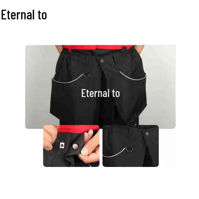 Professional Dog Training Gear