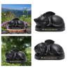 Pet Urns Cremation Memorial Urn Keeping Precious Resin Sleeping in Angel Wing Statue Memory for Indoor, Backyard, Living Room