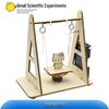 DIY Electromagnetic Induction Coil Kit for Kids: Science Education & STEAM Experiment Set
