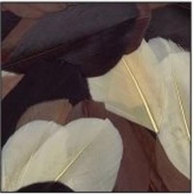 Geknipte ganzenveren - CREATIEF ZAAD - Chocolade Camaïeu - 10 gram - Lengte 6 cm