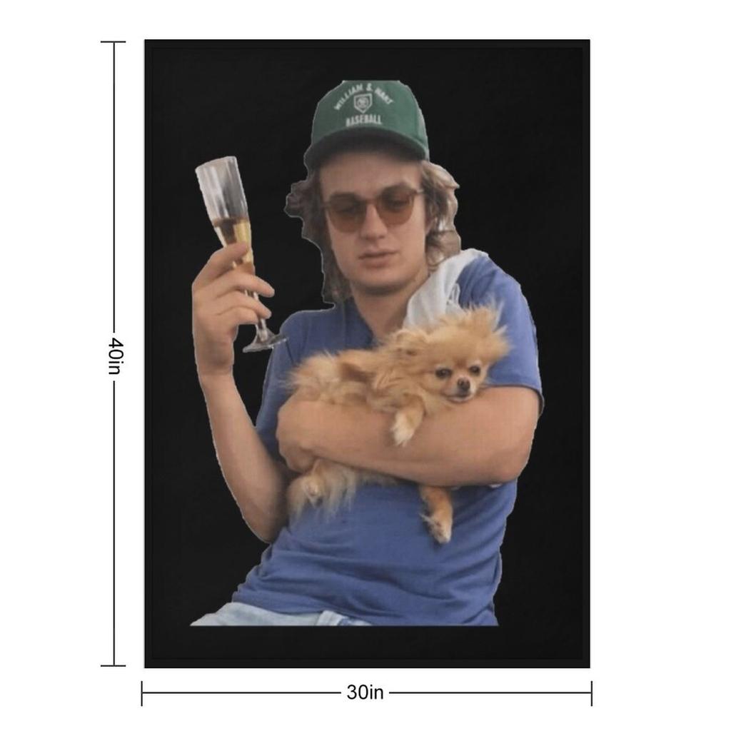 Joe Keery Classic . Throw Blanket bed plaid Vintage Soft Plaid Warm Blankets