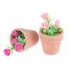 1Pcs Miniatura Miniatura Casa de Bonecas Rosa Planta em Vaso