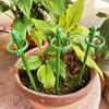 Plant Supports Stakes Green Plant Sticks Support Potted Single Vine Stem Fixing Rod Holder Reusable Plant Anti Lodging Bracket