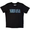 Nirvana Silver Premium Tshirt Unisexs