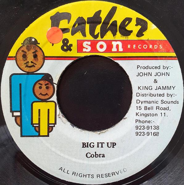 

7inch Record MAD COBRA STEELY CLEVIE Big It Up Big It Up Version NONE Father Son Re 1992 Jamaica Reggae Ska Dub Used