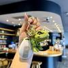 Trendy PVC Cartoon T-Rex Keychain Pendant with Dinosaur Bell and Hand-Biting Feature