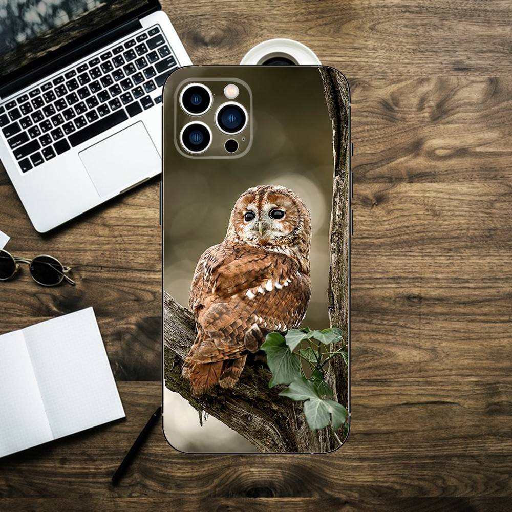 Bird Owl Cute Phone Case For iPhone 16,15,14,13,12,11,XS,XR,X,8,7,Pro,Max,Plus,mini Silicone Black Cover