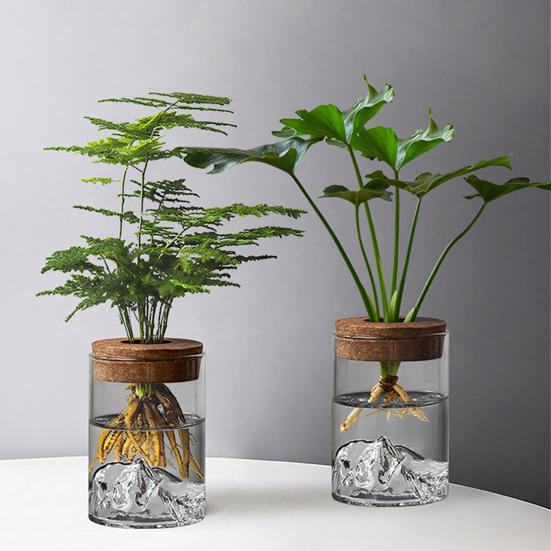 Glass Plant Propagation Station Clear Mountain Hydroponic Planter Artistic Flower Vase Plant Propagation Jar for Home Living Room Bedroom Desktop