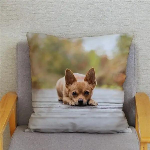 Cute Mini Chihuahua Dog Decorative Pillowcase Office Living Room Car Ornaments Home Pillowcase