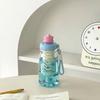 BPA Free Portable Straw Cup Large Capacity Drinking Bottle With Tea Infuser  Travel