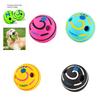 Fun And Durable Squeaky Ball Toy For Dogs 14cm