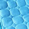 Pet Cool Mat Durable Lightweight Cloth Material for Dog Cat Home Use Environmental Protection Size Cool Mat