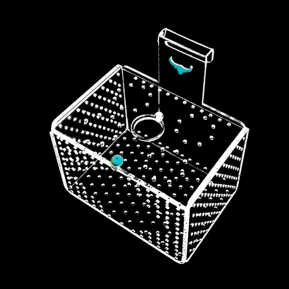 Wall Mount Fish Breeding Box Acylic Floating Hatching Box Fish Tank Isolation Box for Fish Store