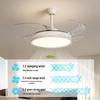 Elegant 48-inch Invisible Blade Ceiling Fan Light