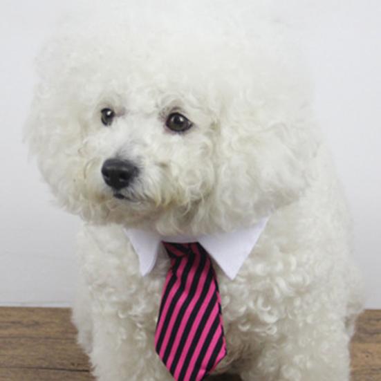 Guler de ajustare cu dungi, cravată papion pentru câine, cățeluș, petrecere, nuntă, îngrijire