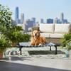 Elevated Pet Cot Frame Pillowless Checkered Lifted dog Bed