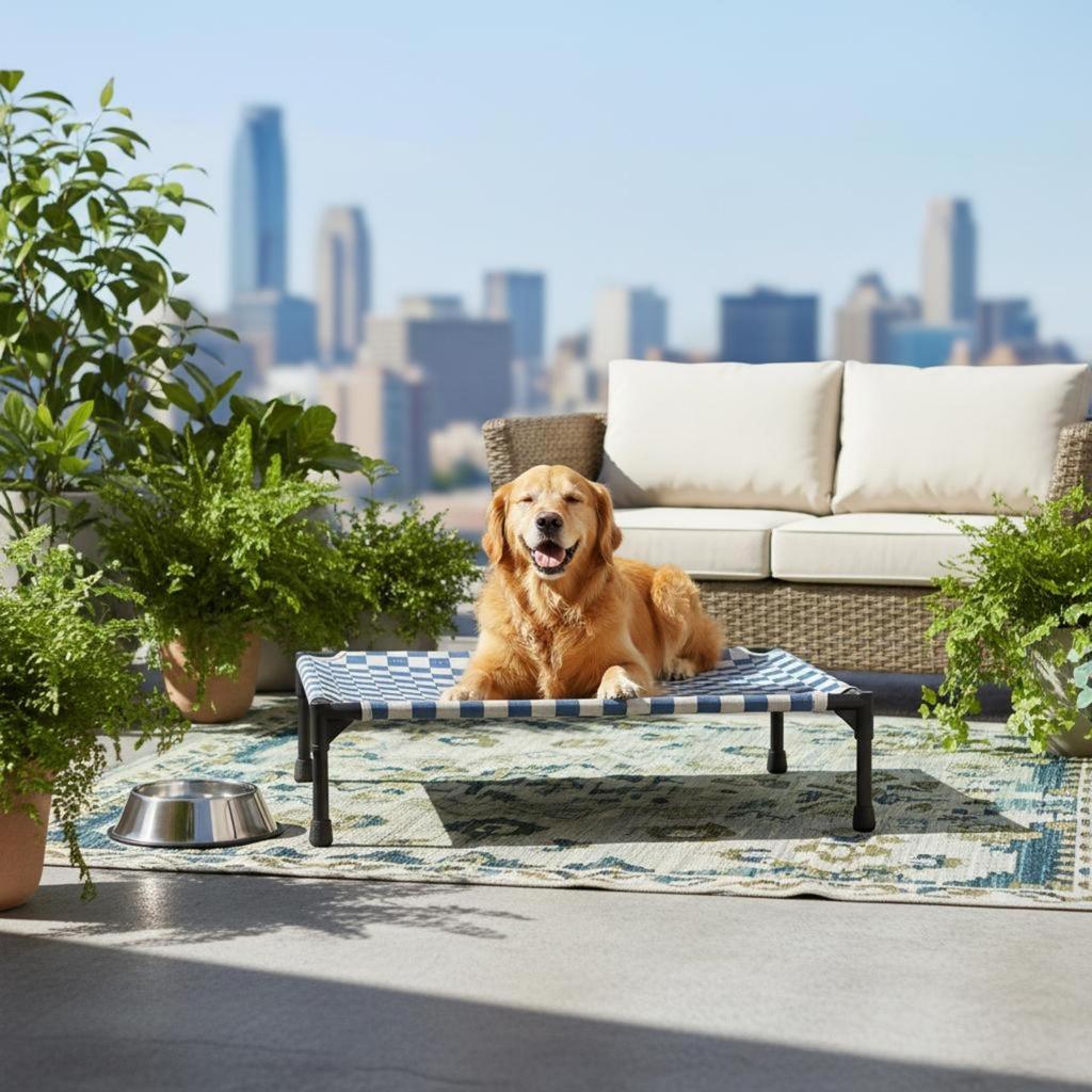 Elevated Pet Cot Frame Pillowless Checkered Lifted dog Bed
