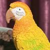 Bird Ornament Resin Scarlet Macaw Sculpture Realistic Lifelike Parrot Statue Waterproof Outdoor Garden Decoration