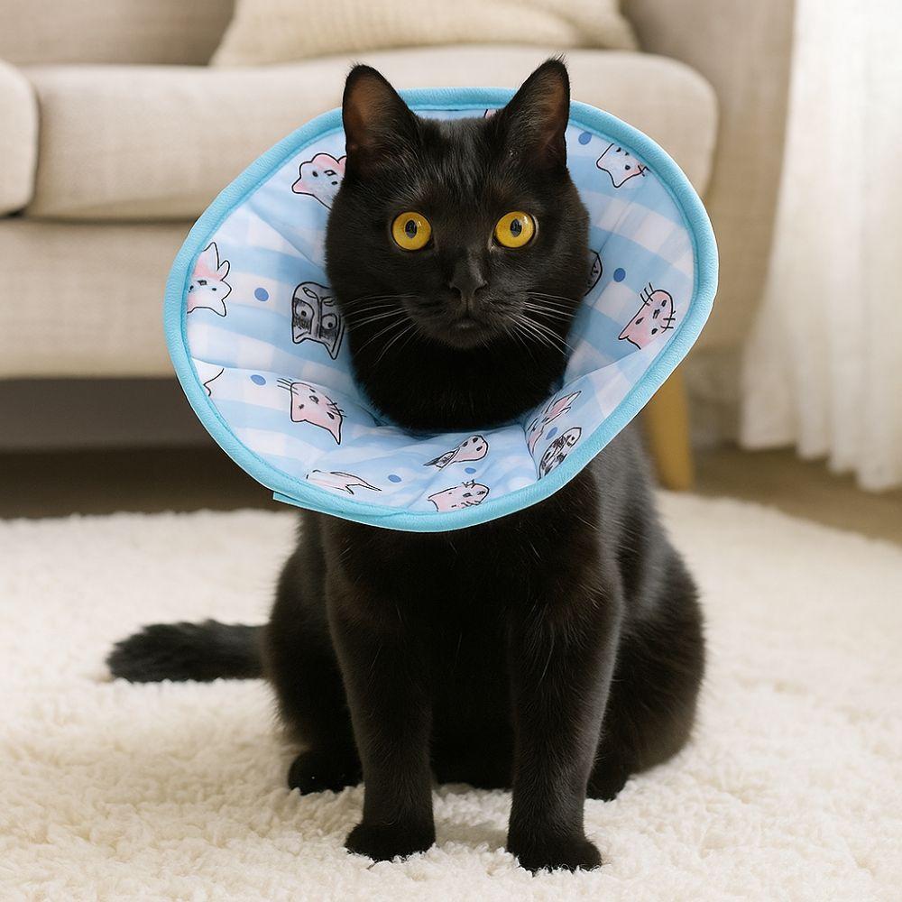 Adjustable Cat Cone Collar Cartoon Anti Licking Collar Pet Protection Collar Wound Recovery