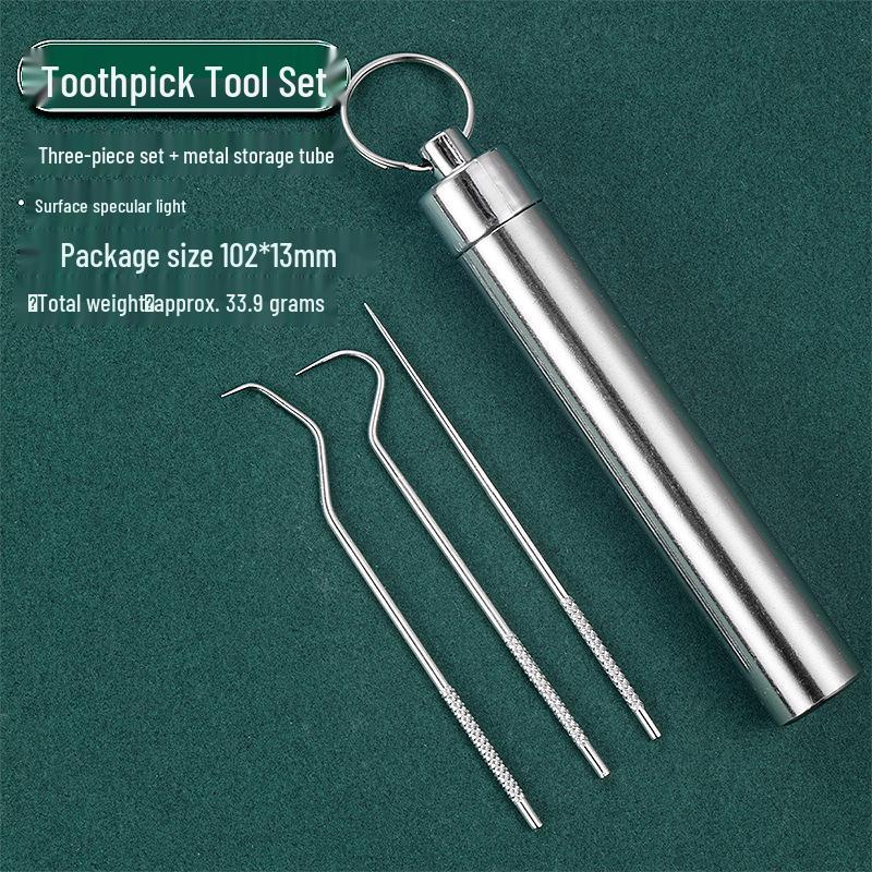 Portable Stainless Steel Toothpick Set with Storage Tube