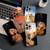 Golden Retriever Dog for Samsung Galaxy Note 20 Ultra 10 8 9 S10 Plus Lite S8 A70 A24 A25 S10E A21S A37 A57 A51 A7 Phone Case