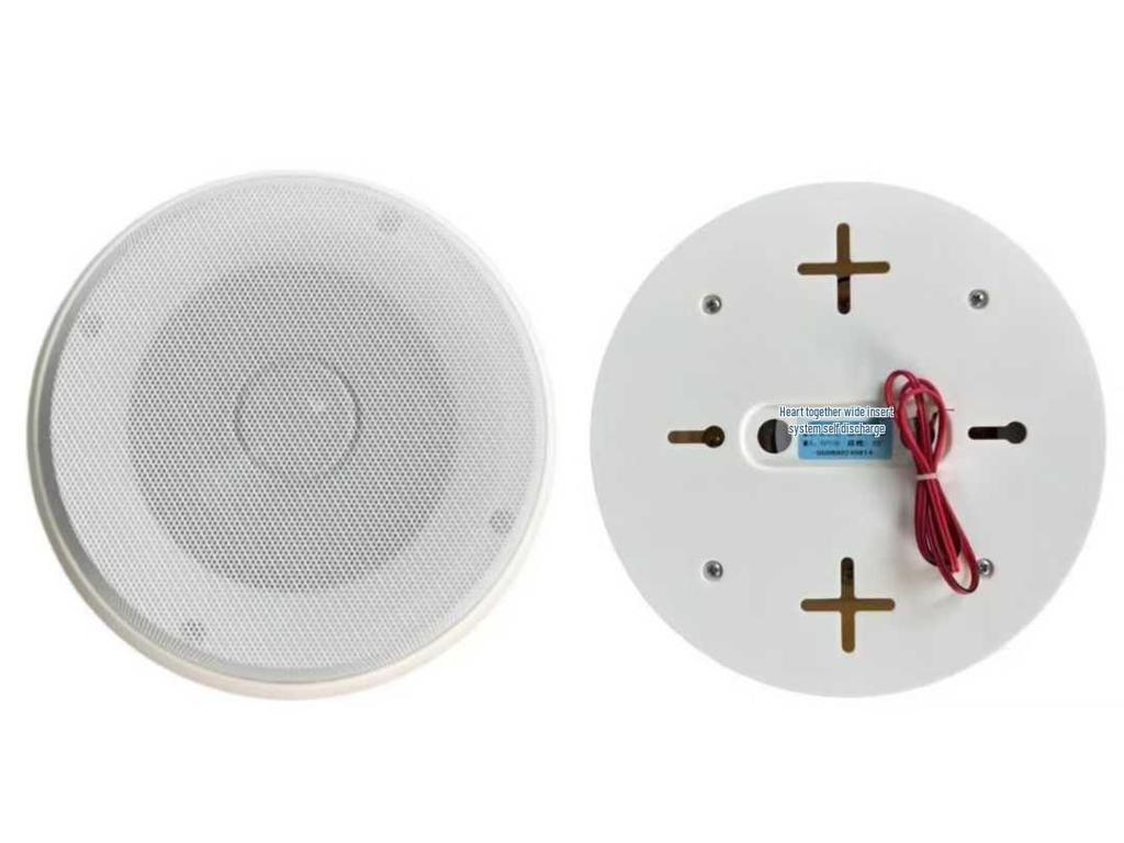 Tianlai TL-D53 Surface Mounted 20W Ceiling Speaker for Homes Without Suspended Ceilings