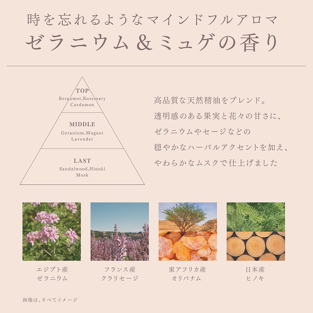 melt Melt Moist Pump Pair Creamy Melt Foam Geranium Lily of the Valley scent + 960ml+2g &