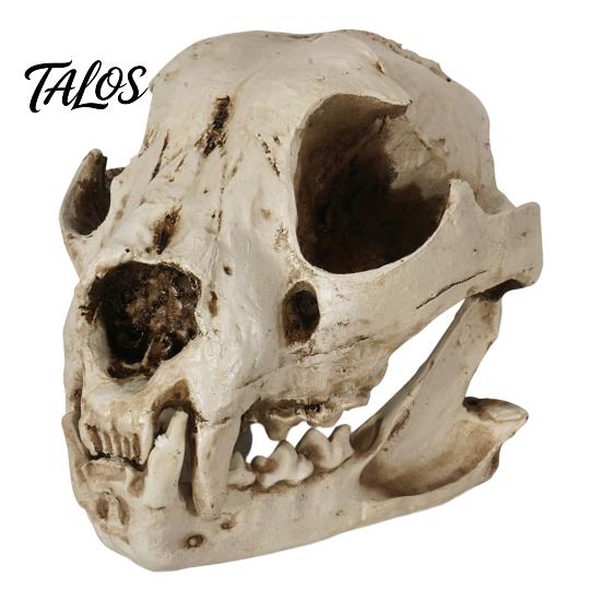 Dog Skull Ornament, Distressed Resin Halloween Decoration, Lifelike Dog Skull for Desktop Fish Tank Film Props Collectible Gift белый