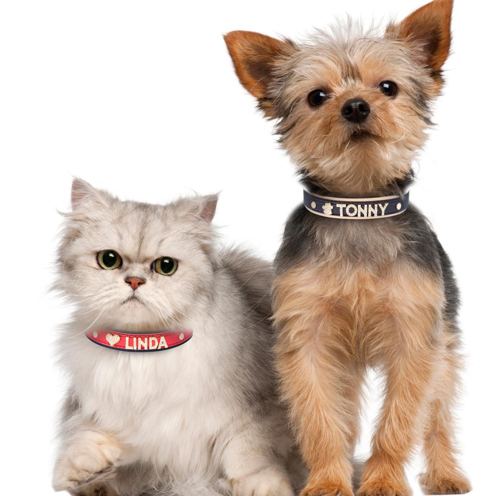 Personlig Små Hunder Chihuahua Halsbånd Bling Rhinestone Hundehalsbånd Gratis Egendefinert Kjæledyr Hunder Katter Navneanheng Kjæledyrtilbehør